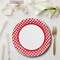 Red Gingham Paper Dinner Plates 24 Count Classic Picnic Party Plates 9 Inch